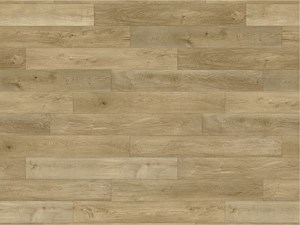 Paradigm Conquest Maiden 9 x 72